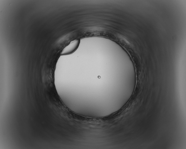 X0000083591062200703021838