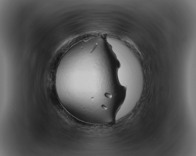 X0000083591064200703021838