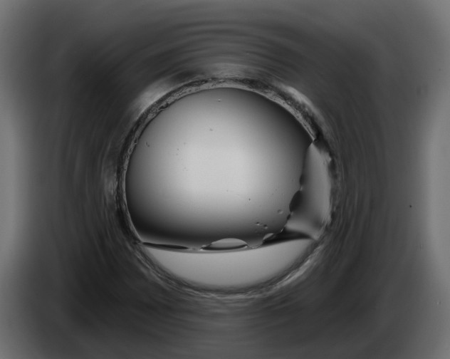 X0000083591065200703021838