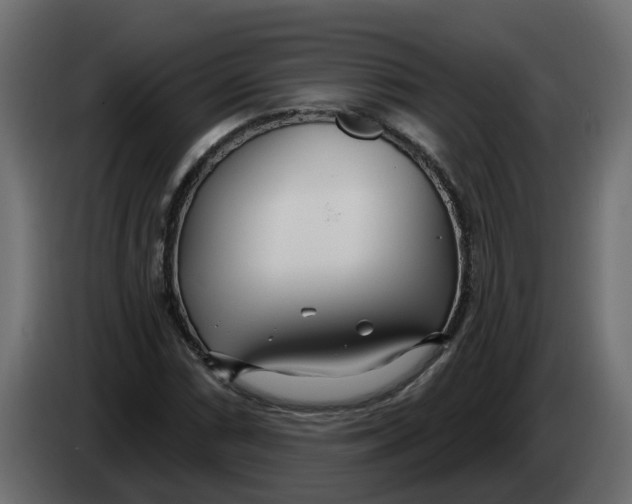 X0000083591066200703021838