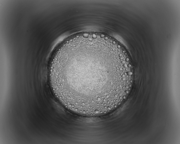 X0000083591067200703021838