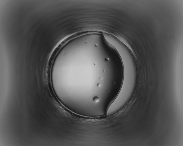 X0000083591068200703021838