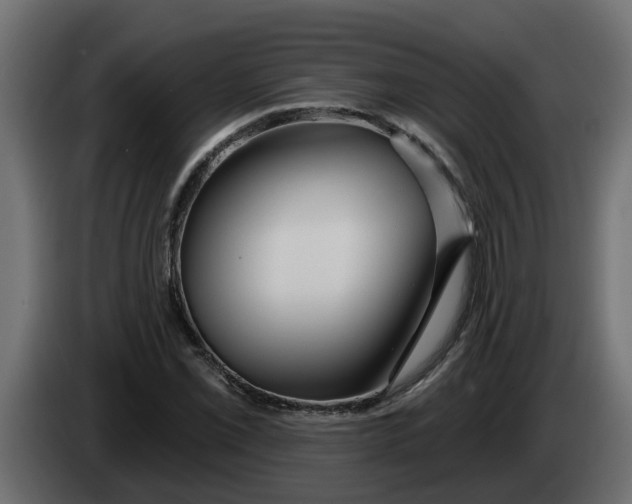 X0000083591069200703021838