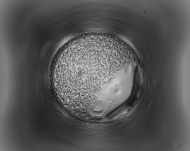 X0000083591071200703021838