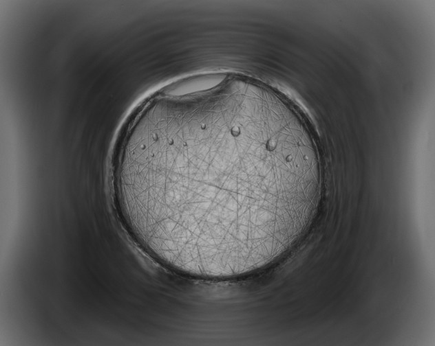 X0000083591072200703021838