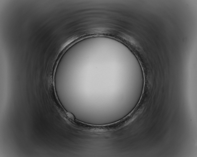 X0000083591073200703021838