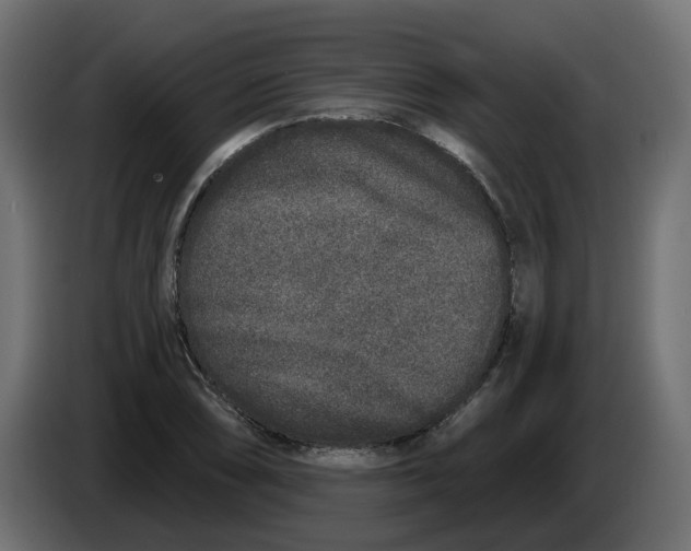 X0000083591074200703021838