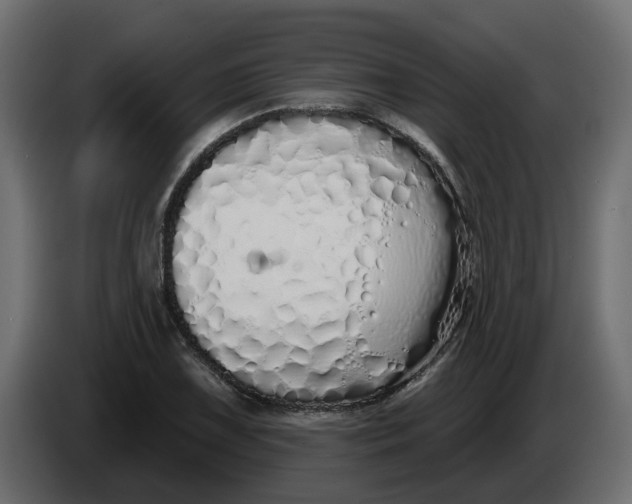 X0000083591075200703021838