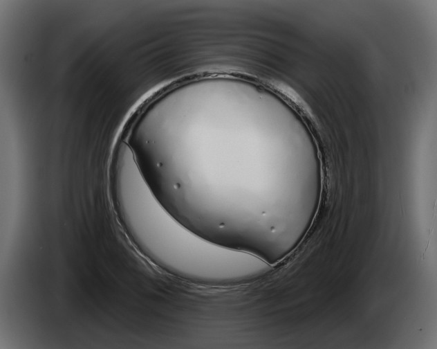 X0000083591076200703021838
