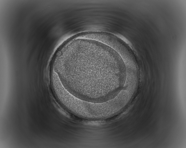 X0000083591078200703021838