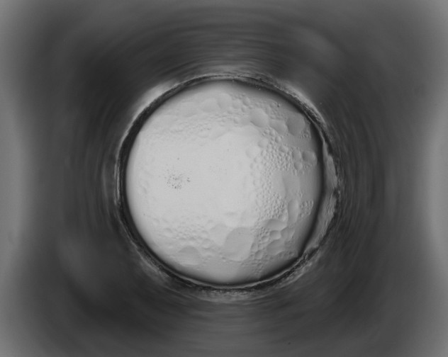 X0000083591079200703021838