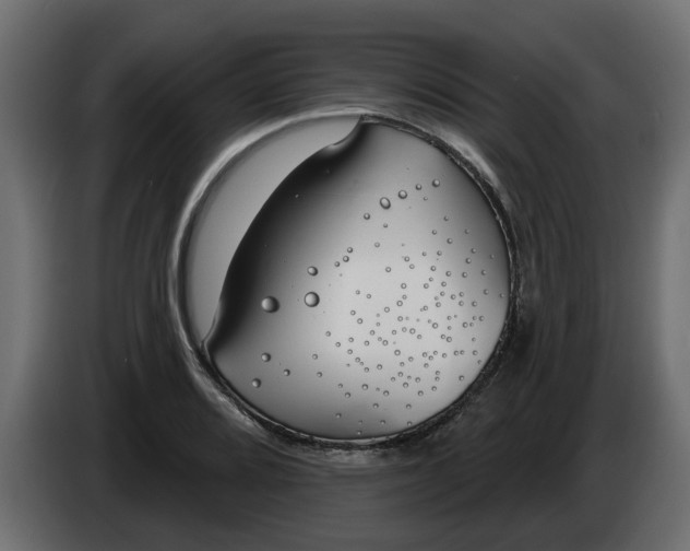 X0000083591080200703021838
