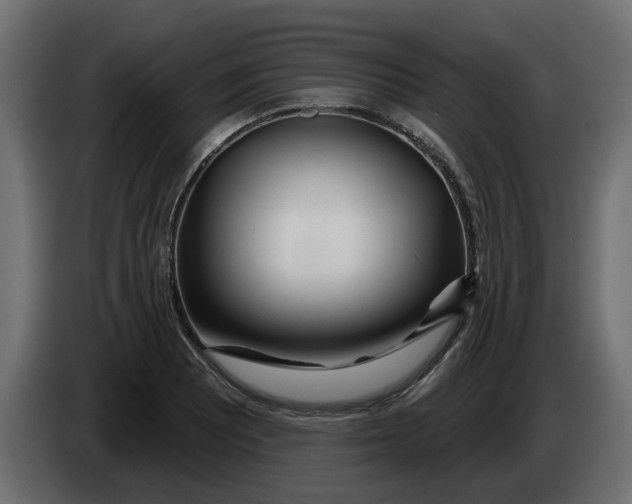 X0000083591081200703021838