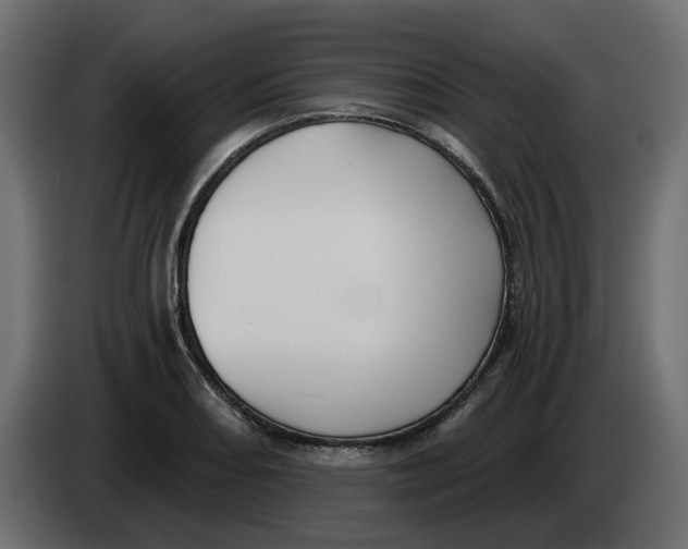 X0000083591082200703021838