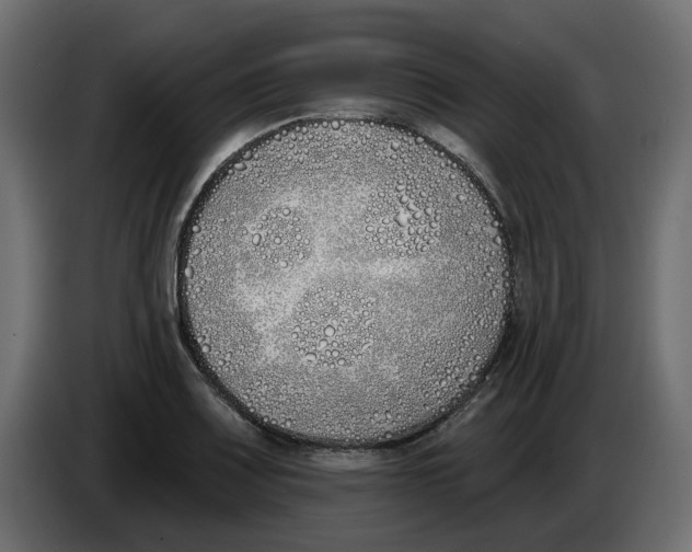 X0000083591083200703021838