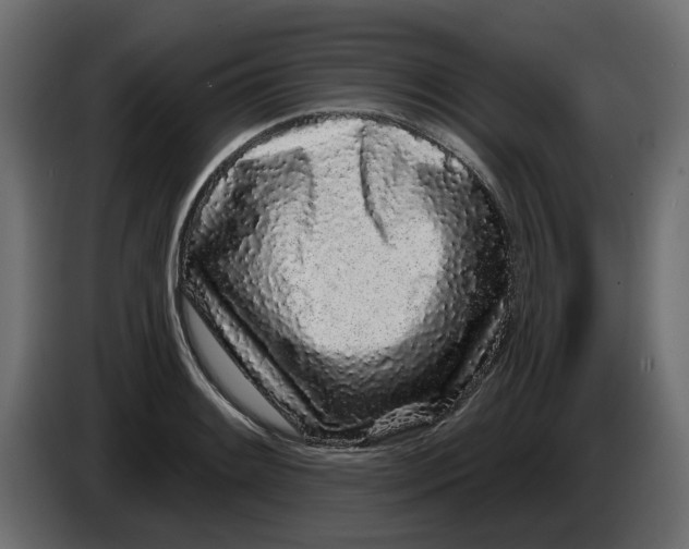 X0000083591084200703021838