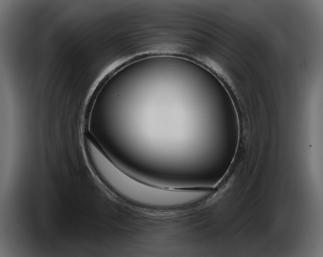 X0000083591085200703021838
