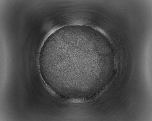 X0000083591086200703021838