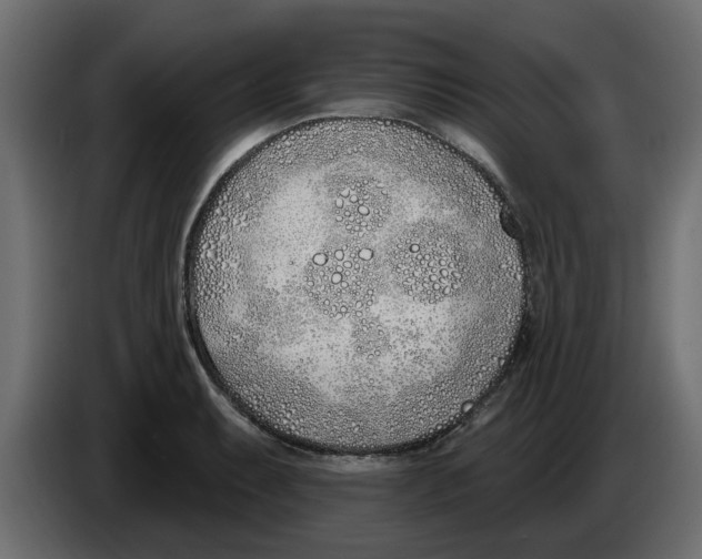 X0000083591087200703021838