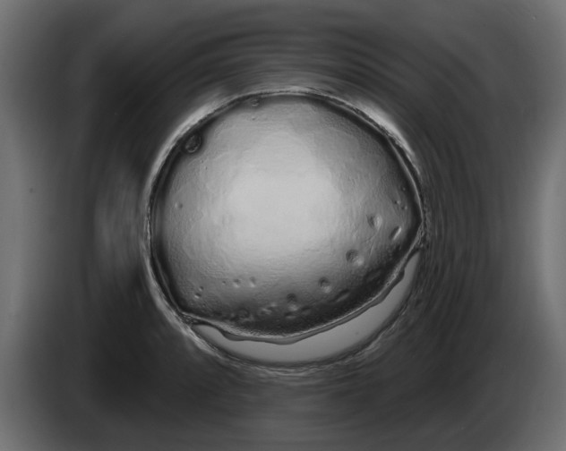 X0000083591088200703021838