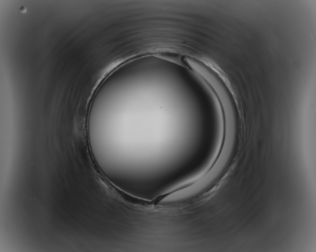 X0000083591089200703021838