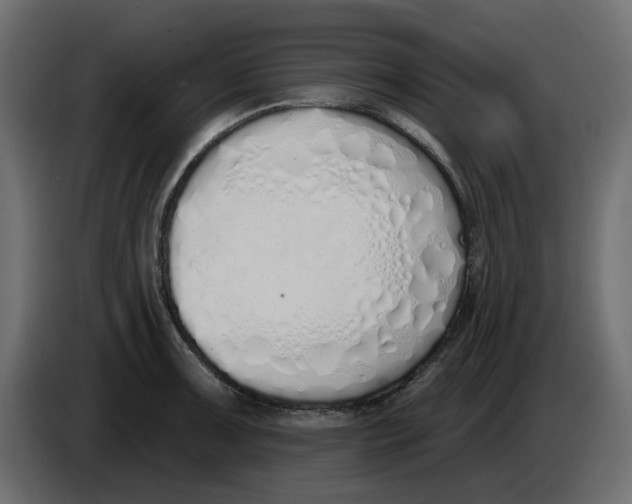X0000083591091200703021838