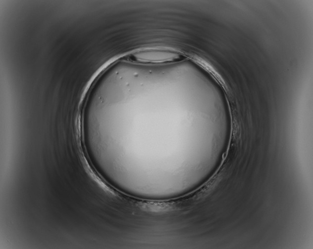 X0000083591092200703021838