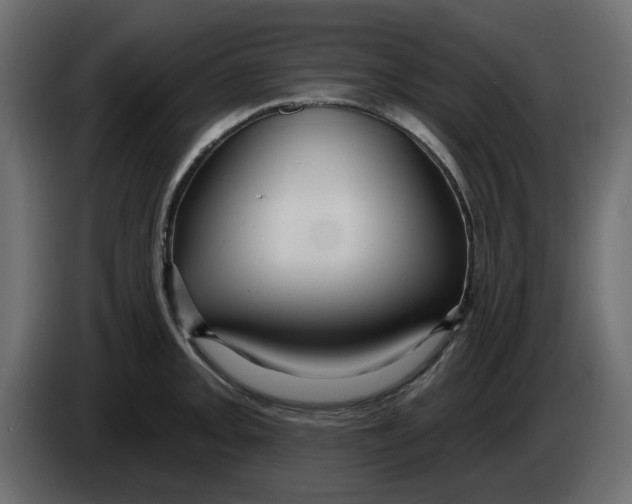 X0000083591093200703021838