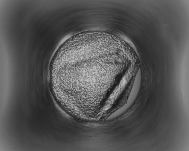 X0000083591095200703021838