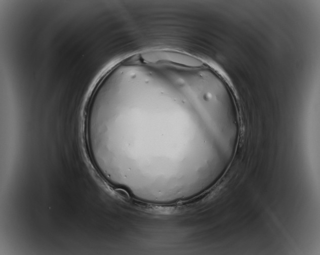 X0000083591096200703021838