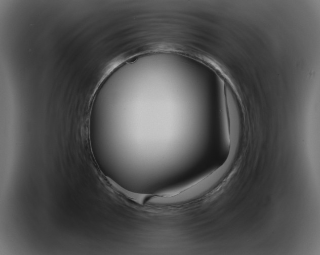 X0000083591097200703021838