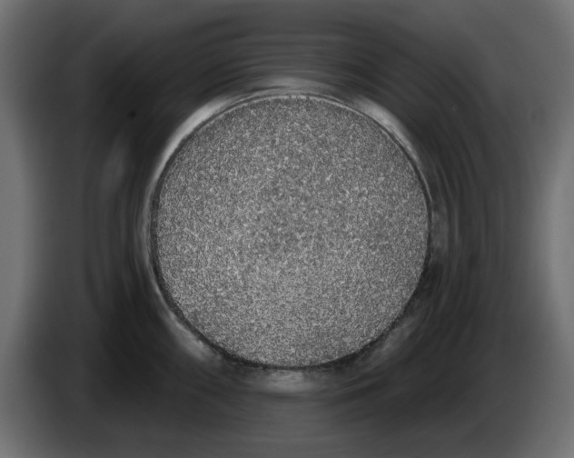 X0000083591098200703021838