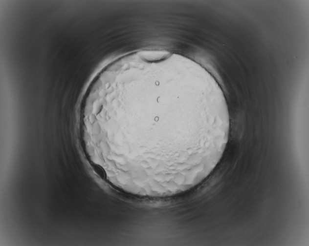 X0000083591099200703021838