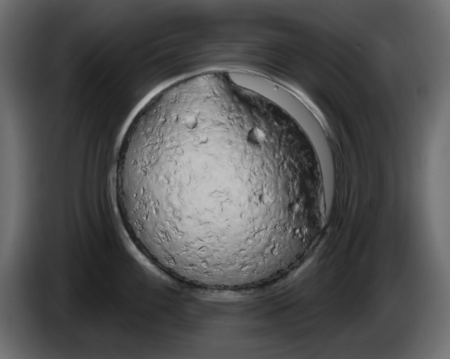 X0000083591100200703021838