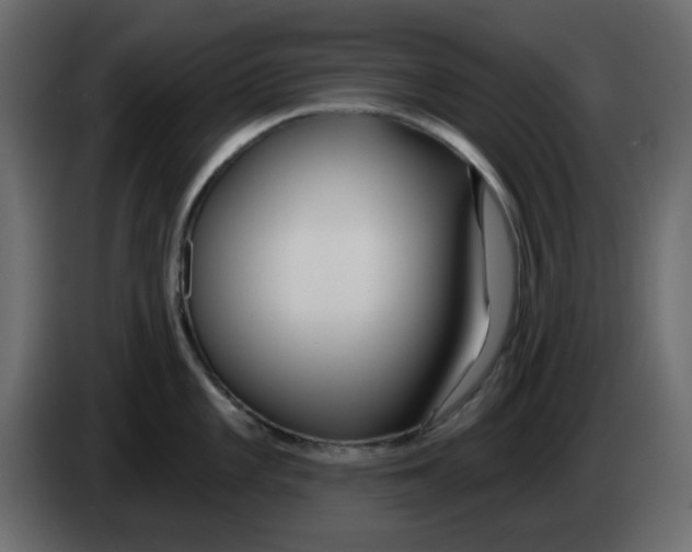 X0000083591101200703021838