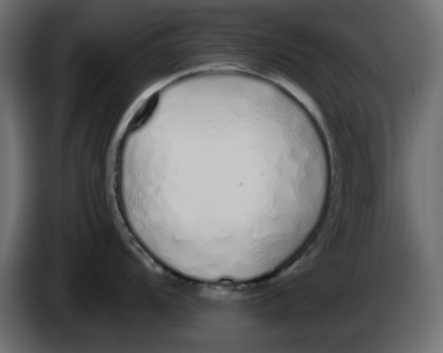 X0000083591104200703021837