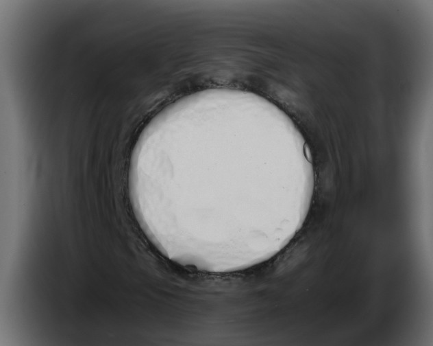 X0000083591105200703021837