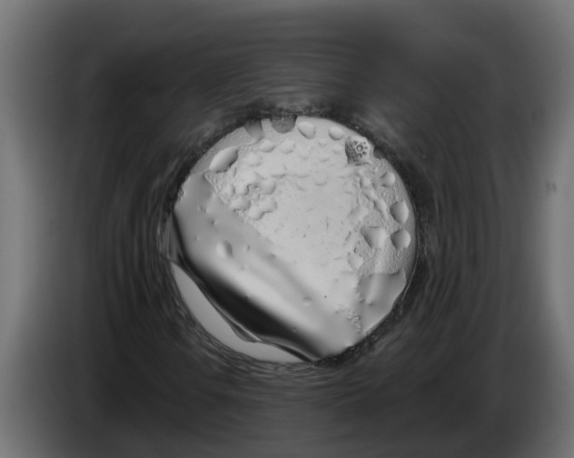 X0000083591106200703021837