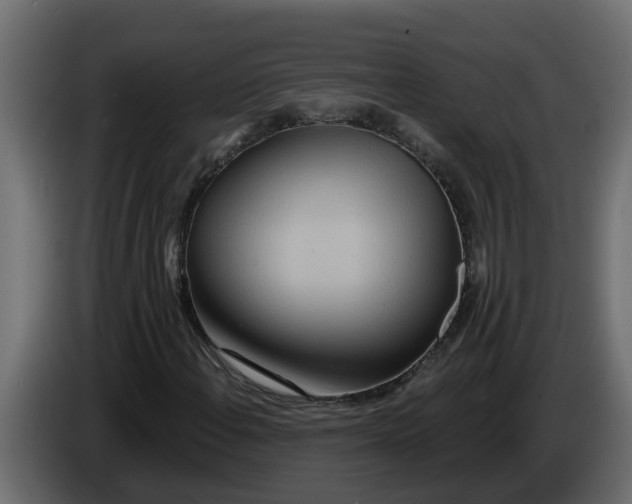X0000083591108200703021837