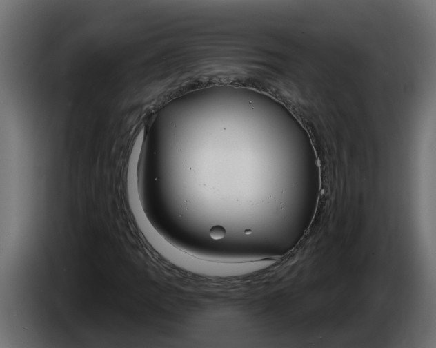 X0000083591109200703021837