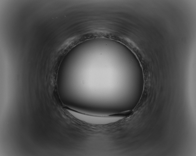X0000083591110200703021837