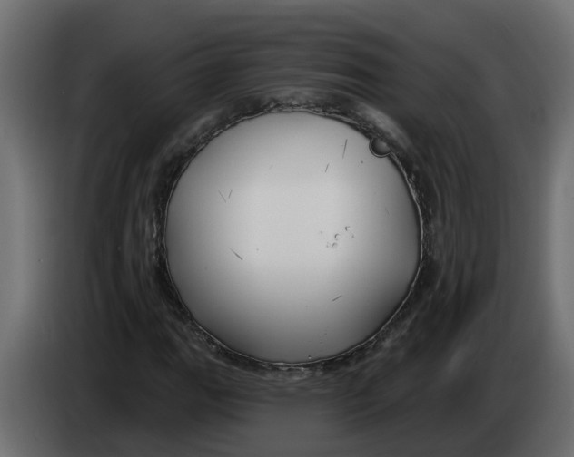 X0000083591111200703021837