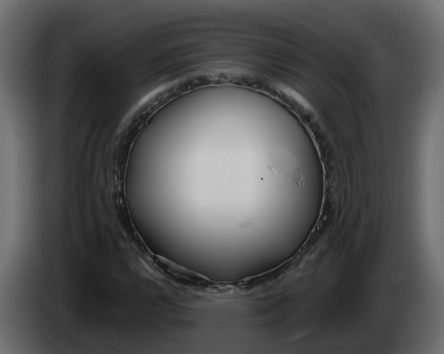 X0000083591112200703021837