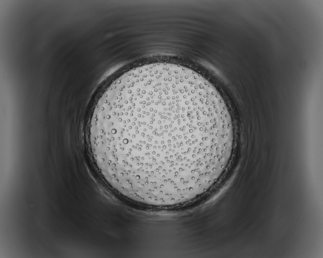 X0000083591113200703021837