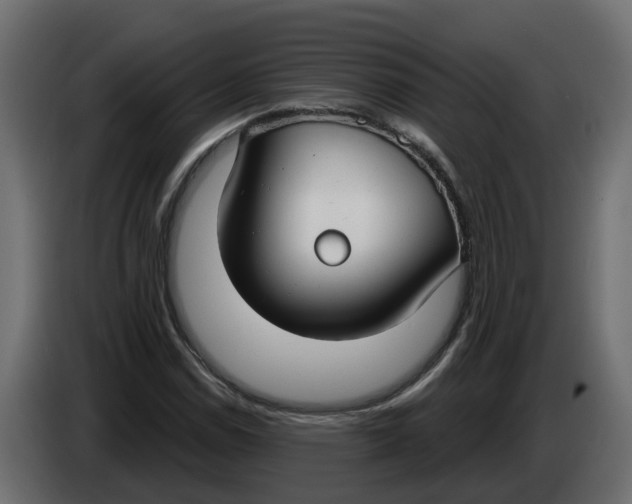 X0000083591114200703021837