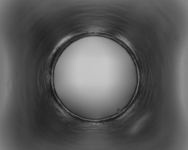 X0000083591115200703021837