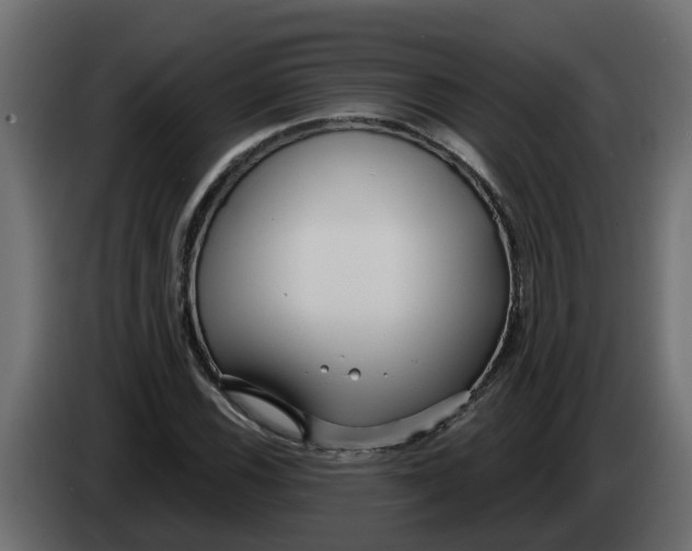 X0000083591116200703021837