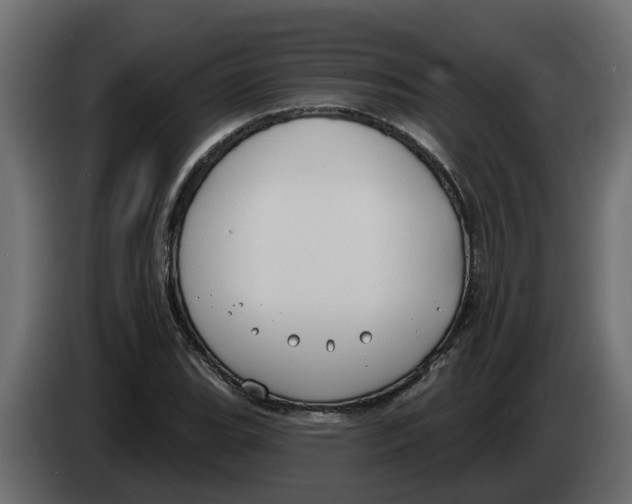 X0000083591119200703021837
