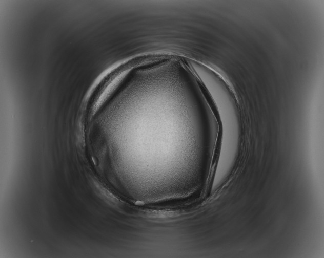 X0000083591120200703021837
