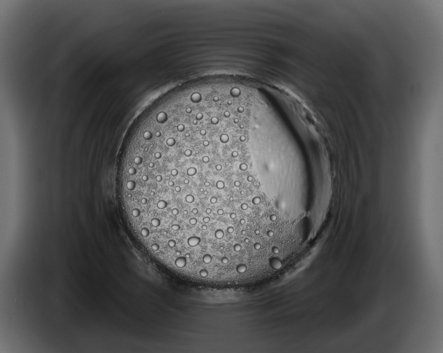 X0000083591121200703021837